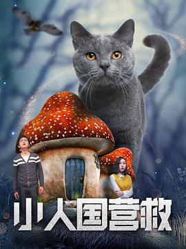 我心中的D杯侦探感